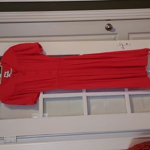 ⌛️ Vintage Dress 10/29